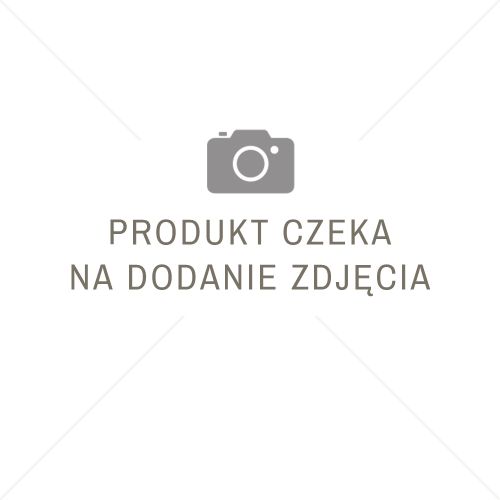 Najpiękniejsze krzewy kwitnące w maju