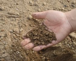 Jakie właściwości gleby mają wpływ na jej żyzność?
