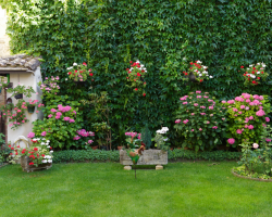 5 zabiegów, które wizualnie powiększą Twój ogród