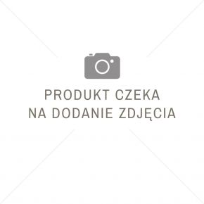 Sosna ŻÓŁTA 