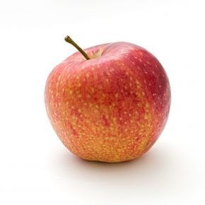 Jabłoń mini  CORQUELLA
