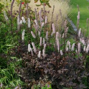 Świecznica prosta  PINK SPIKE