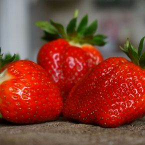 Truskawka GRANDA ROSA