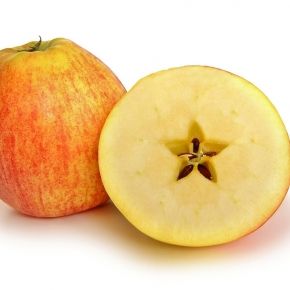 Jabłoń KOKSA POMARAŃCZOWA