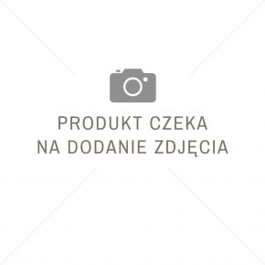 Rdestówka BUCHARSKA